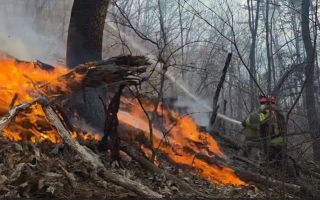 경주 산불에 국가소방동원령 2차 발령…전국 소방력 총출동