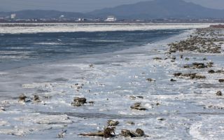 "월요일 출근 비상" 영하 15도 맹추위에 강풍까지…언제 풀리나[내일날씨]