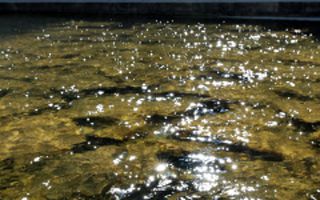 서울 한낮 9도 '포근'…전국 하늘은 맑음[오늘날씨]