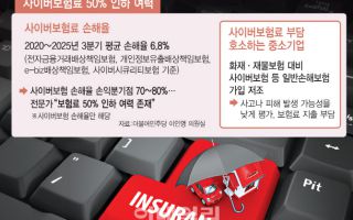 손해율 10% 미만인 사이버보험…"보험료 50% 내려도 되겠네"[only이데일리]