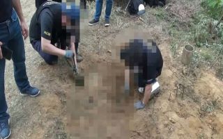 야산서 발견된 백골 소년…범인은 동료 ‘가출팸’이었다 [그해 오늘]