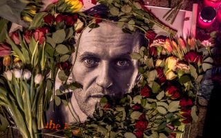 유럽 5개국 “푸틴 정적, 독화살개구리 독소로 살해 당해”