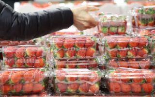 “어머님, 앞으로 ‘딸기’는 꼭! 드셔야 돼”…며느리는 왜?