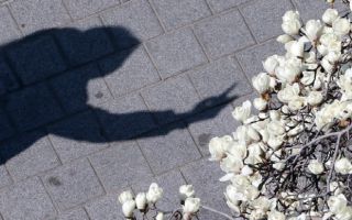 서울 한낮 기온 15도까지 '쑥'...내륙 중심 일교차 커[오늘날씨]