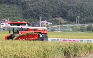 '섬에서 수확한 쌀입니다'…옹진군, 브랜드 쌀 생산 확대