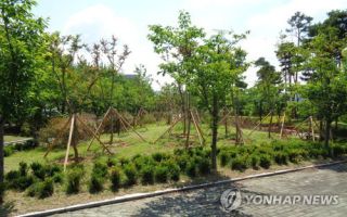 경기도, 264개 도시숲 37만5천㎡ 조성…도시녹지관리원도 배치