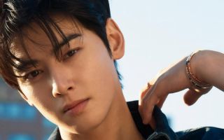 차은우, 200억 ‘역대급’ 탈세 의혹. ‘엄마 회사’ 이용…“불복 절차 밟는 중”