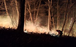 산림청 "강원 양양 산불, 대응 1단계 발령"