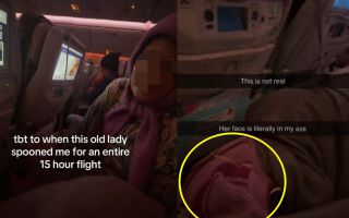 뚫어지게 쳐다보더니 '털썩'…"15시간 비행 동안 내 엉덩이 베고 자더라"