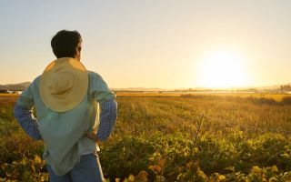 귀농, ‘50대 중반 남성 1인 가구’가 평균