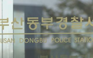 대낮에 금은방에서 120만원 상당 귀걸이 훔친 80대