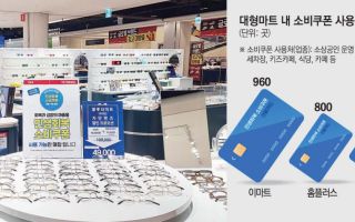 ‘소비쿠폰, 대형마트선 안되는 줄’⋯“장 보러 왔다가 외식도 하고 가요”[르포]