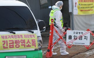 경기 포천 산란계 농장서 38만 마리 조류인플루엔자 확진