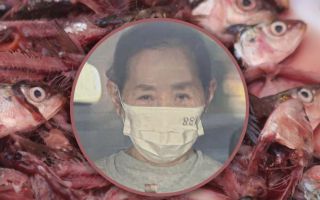 양 많고 싸기로 소문난 식당…버려진 '생선 뼈'가 재료였다