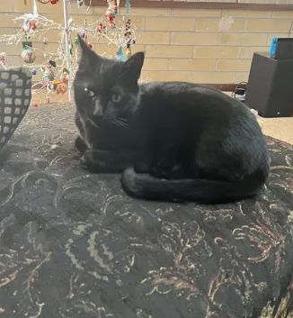 [출처=뉴욕포스트]