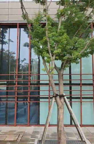 철근으로 막힌 유리창  [독자제공. 재판매 및 DB 금지]