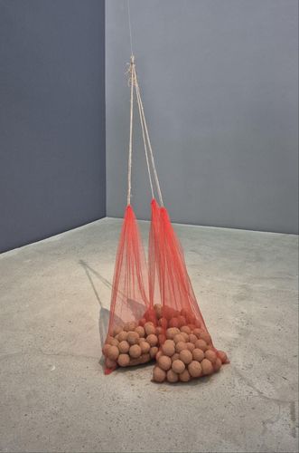 종자볼 샘플[사진 황희경]