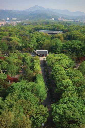 종묘 전경 [문화재청 국가유산포털 제공. 재판매 및 DB 금지]