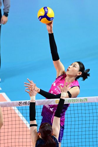 공격하는 흥국생명의 김연경[한국배구연맹 제공. 재판매.DB 금지]