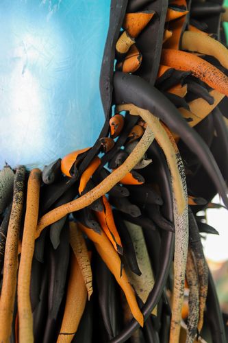 진주아 작가 작품 '드림캐처'[제주도 제공. 재판매 및 DB 금지]