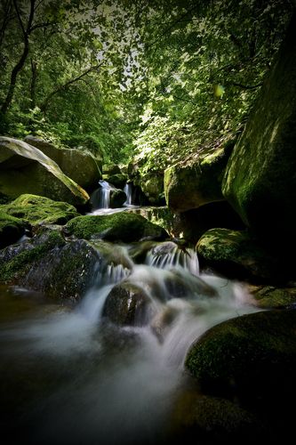 영월 이끼계곡[영월군 제공.재판매 및 DB 금지]