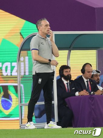 파울루 벤투 대한민국 축구대표팀 감독이 5일 오후(현지시간) 카타르 도하 스타디움974에서 열린 2022 카타르 월드컵 16강 브라질과의 경기에서 경기를 지켜보고 있다. 2022.12.6/뉴스1 ⓒ News1 이광호 기자
