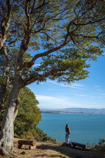 노코노시마 아일랜드 파크에서 바라본 푸른 바다ⓒ News1 윤슬빈 기자