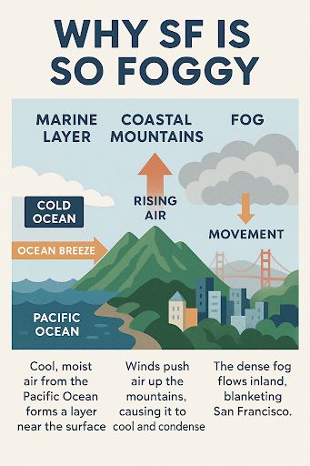 오픈AI의 GPT-4o 이미지 생성 모델이 생성한 인포그래픽. 미국 샌프란시스코에 왜 안개가 많이 끼는지를 그림과 글로 표현했다. /사진제공=오픈AI