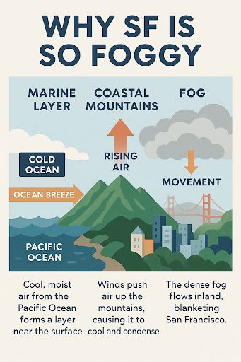 오픈AI의 GPT-4o 이미지 생성 모델이 생성한 인포그래픽. 미국 샌프란시스코에 왜 안개가 많이 끼는지를 그림과 글로 표현했다. 오픈AI 제공