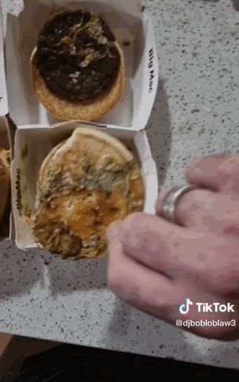 호주에 거주하는 밥 로블러는 3개월 된 빅맥 버거의 모습을 공유했다. SNS 캡처