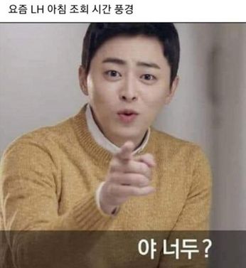 온라인 커뮤니티 캡처