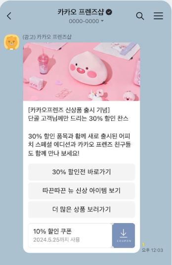 카카오 비즈니스 상품 안내에 올라온 카카오 친구톡 소개 이미지.