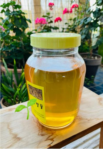 조중의 포항대학교 초빙교수·전직 언론인 제공