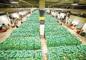 내년 농안법 개정안이 시행되면 ‘출하 가격 보전제도’가 가락시장 중심으로 시범 운영된다. 사진은 가락시장 채소2동 전경.