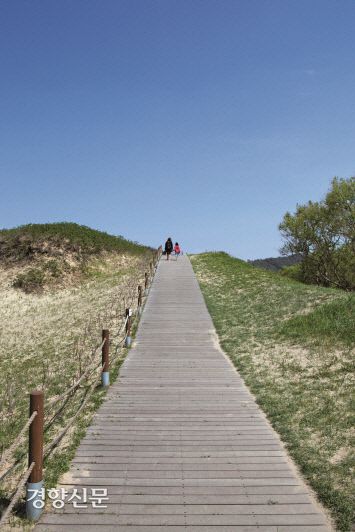 박여진 작가가 조카와 함께 걸었던 태안 신두리 해안사구. 사진|백홍기 작가·마음의숲 제공