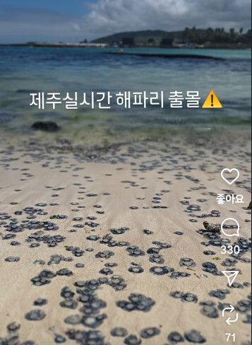 지난 26일 제주시 조천읍 신흥해수욕장. 인스타 @only_chavely 제공