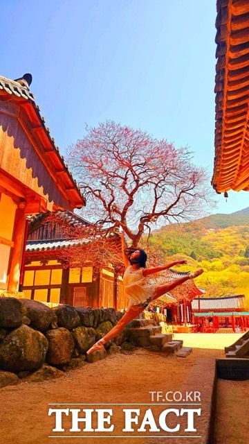 휴대폰 부문 부지주스님상 수상자 한현주의 '불심에 스민 홍매/몸은 흙에 닿고 마음은 하늘에 닿는다'./화엄사