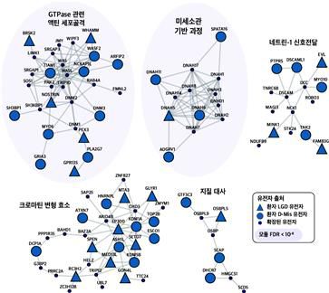 척추이분증 환자의 유전자 및 생물학적 기능 네트워크[김상우 교수팀 제공. 재판매 및 DB 금지]