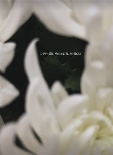 [안다빈 씨 인스타그램 캡처. 재판매 및 DB 금지]