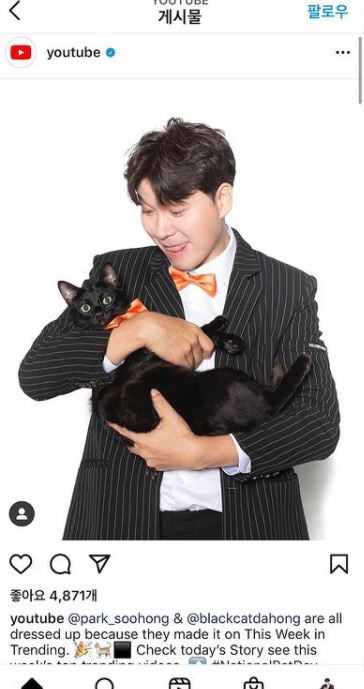 /사진=검은고양이 다홍 인스타그램