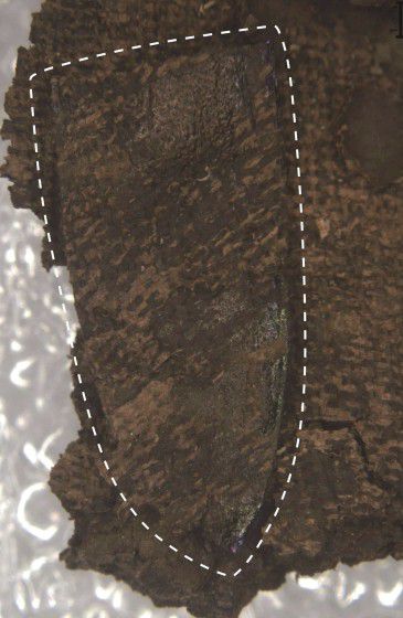 세부 장식 [국가유산청 제공. 재판매 및 DB 금지]