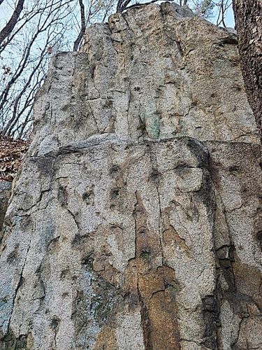 경기 의정부서 새로 발견된 청동기 유적 추정 '선돌'[문화재제자리찾기 제공. 재판매 및 DB 금지]