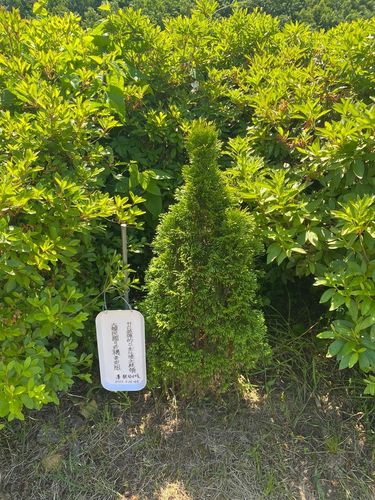 고(故) 전두환 전 대통령 생가에서 발견된 팻말[경남 합천군 제공. 재판매 및 DB 금지]