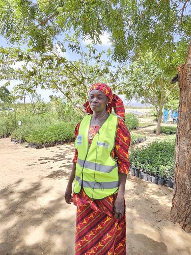 카메룬 미나와오 난민캠프의 묘목장에서 일하는 리디아 야쿠부(45) 씨(마요차나가<카메룬>=연합뉴스) 노재현 기자 = 지난 11일(현지시간) 카메룬 최북단주 마요차나가 지역에 있는 미나와오 난민캠프 내 묘목장에서 일하는 리디아 야쿠부(45) 씨. 2025.6.24 nojae@yna.co.kr
