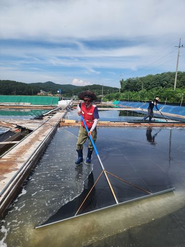 염전 작업[안산 동주염전 제공. 재판매 및 DB 금지]