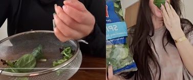 SNS에 올라온 생시금치 먹는 영상 [틱톡 캡처]