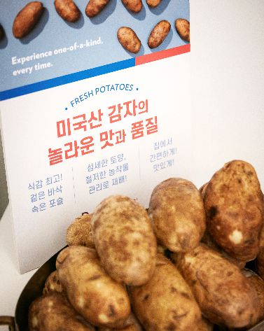 미국 감자 [미국감자협회 제공]