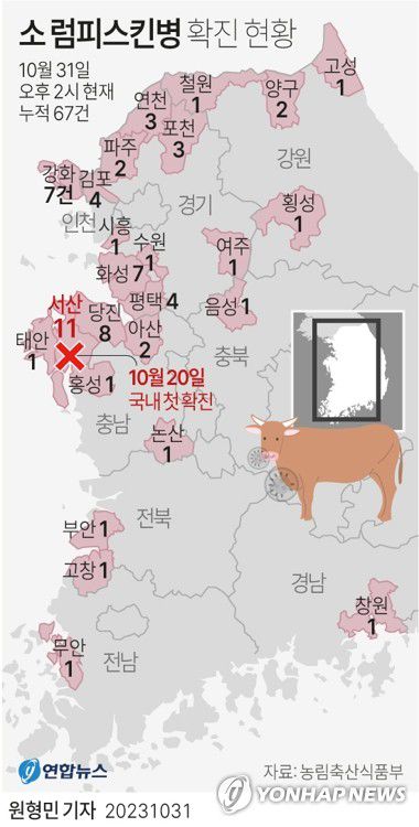 [그래픽] 소 럼피스킨병 확진 현황(서울=연합뉴스) 원형민 기자 = circlemin@yna.co.kr     페이스북 tuney.kr/LeYN1 트위터 @yonhap_graphics