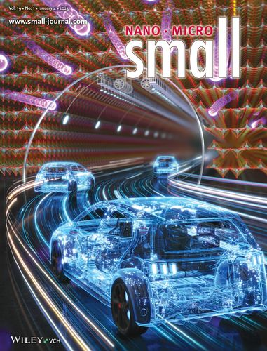 '스몰(Small)'  학술지 표지논문 장식[광주과학기술원 제공. 재판매 및 DB 금지]