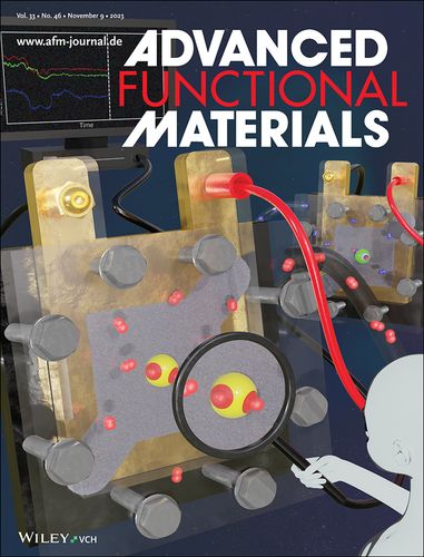 세계적 화학·물리학 권위지 표지[한국에너지공대 제공]